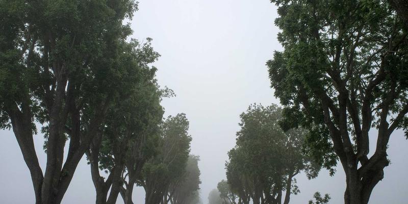 新乡车主必看:冬季雪地轮胎安装、存储全攻略,附四轮定位关键要点